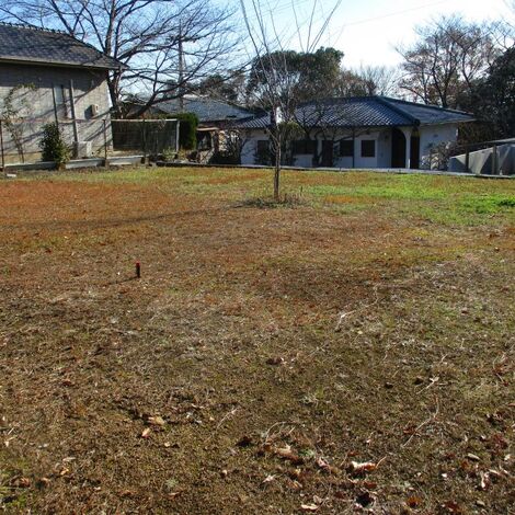 IMG_3523　メイン画像